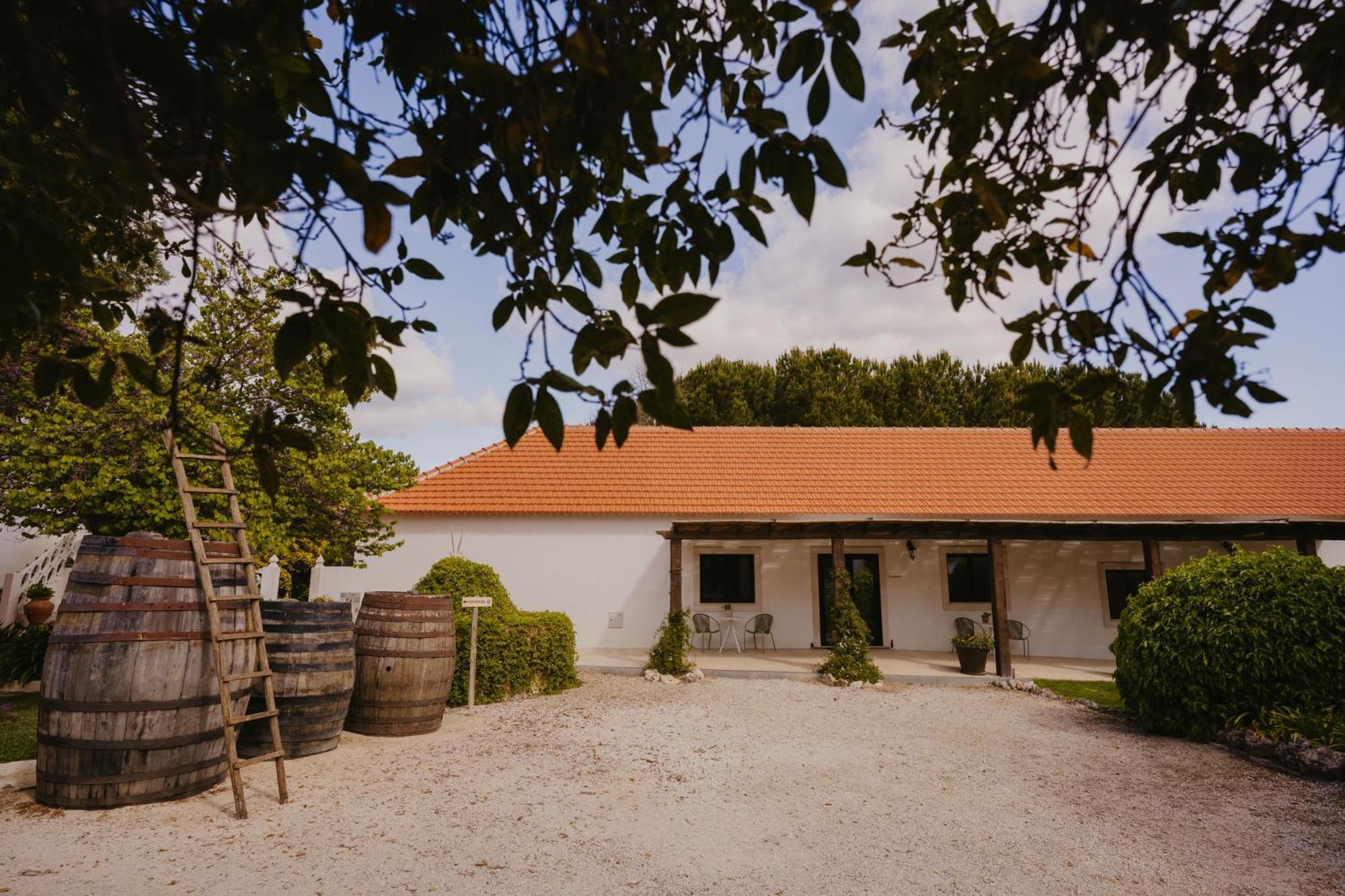 Отель Quinta Carvalhas - The Green Farm Casevel Экстерьер фото