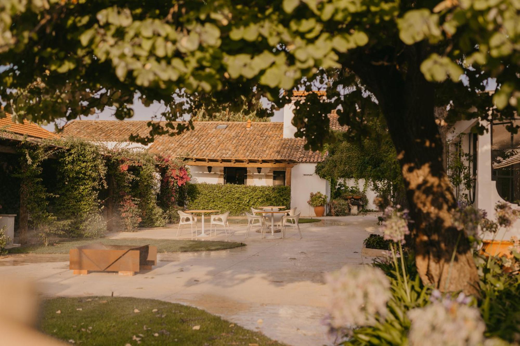 Отель Quinta Carvalhas - The Green Farm Casevel Экстерьер фото