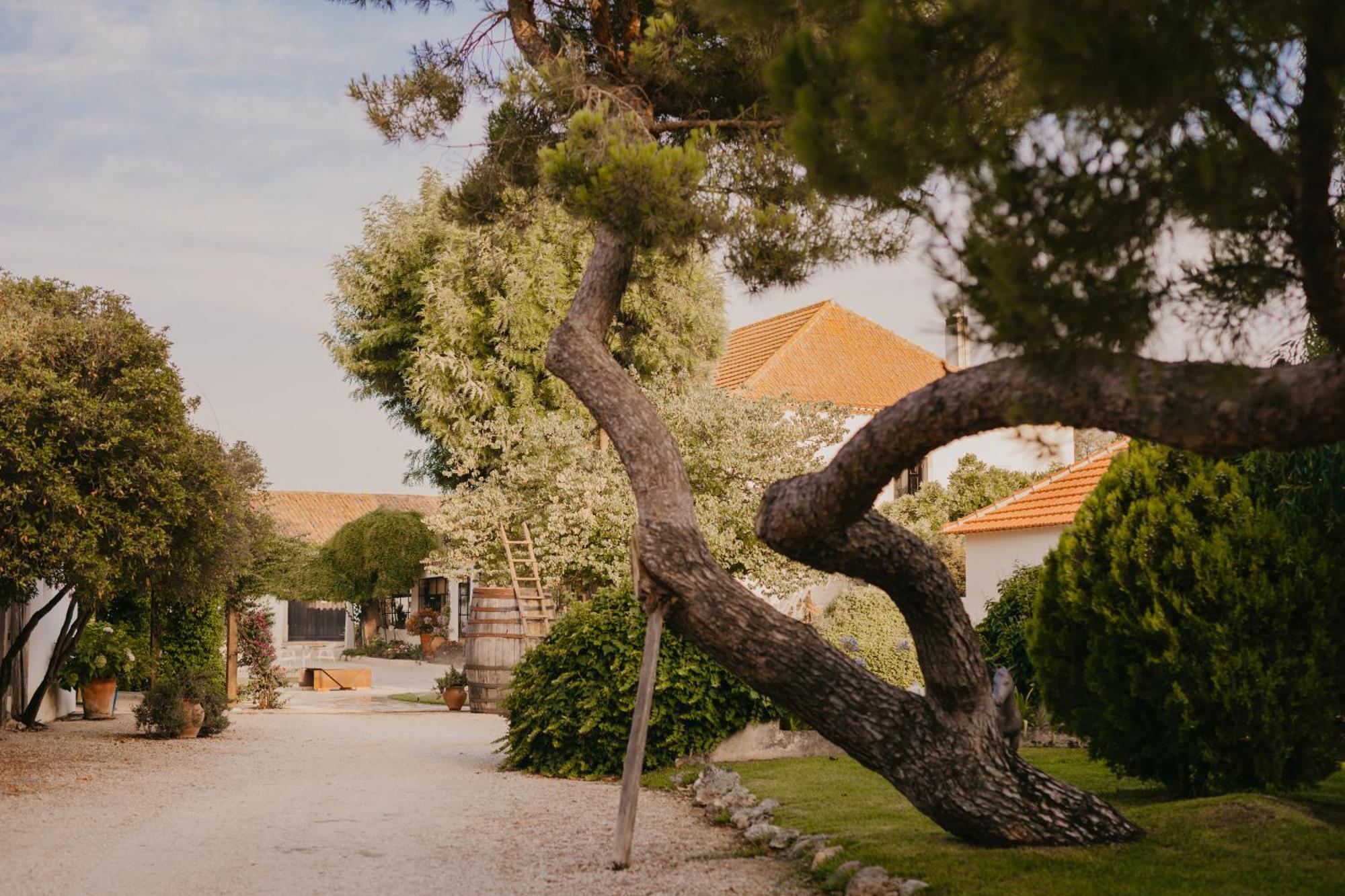 Отель Quinta Carvalhas - The Green Farm Casevel Экстерьер фото