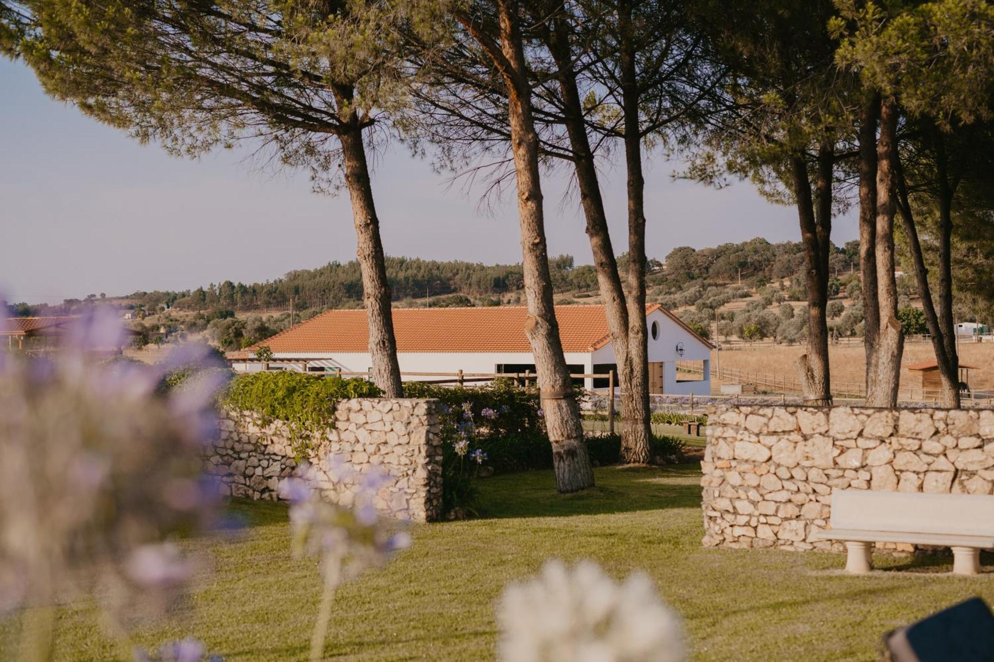 Отель Quinta Carvalhas - The Green Farm Casevel Экстерьер фото