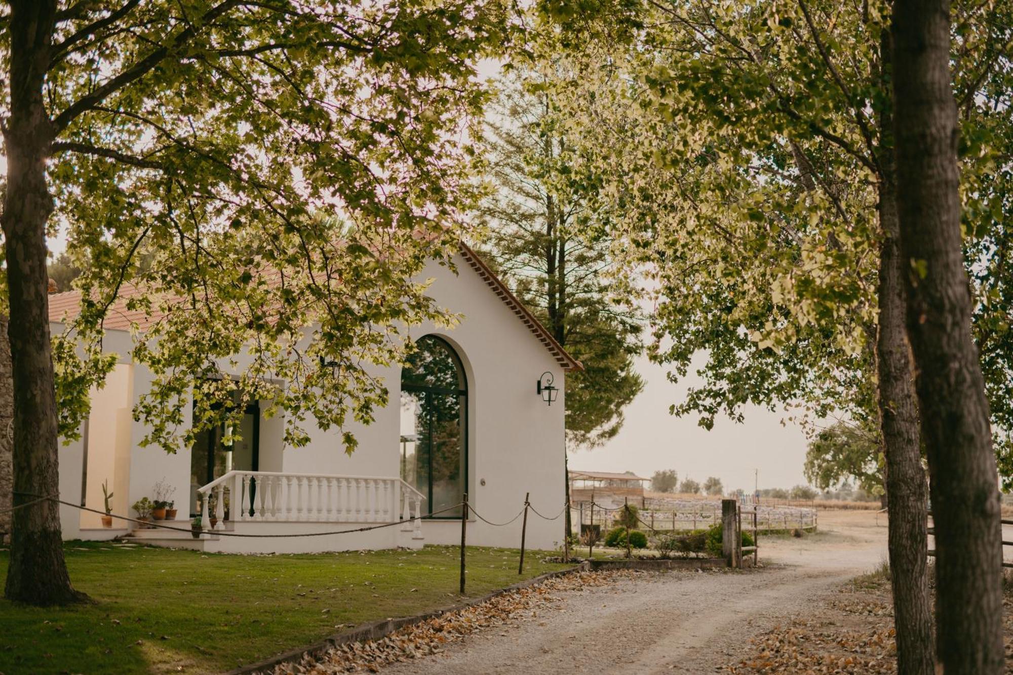 Отель Quinta Carvalhas - The Green Farm Casevel Экстерьер фото